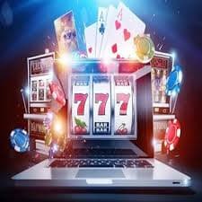 599 bet বিভাগ তুলনার তথ্যভিত্তিক প্যানেল